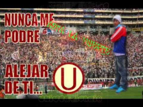 los nevados de cerro de pasco ulcumayo-junin @#o#