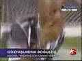 pascal nouma vasiyet