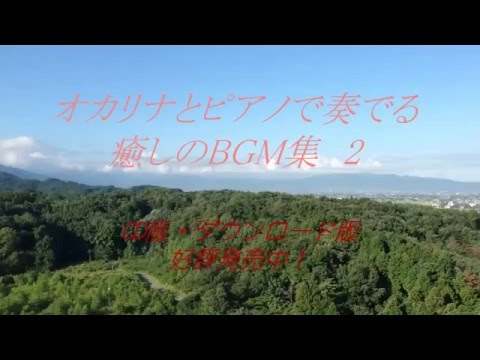 動画