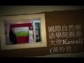 [恭賀]名模Kawaii黃羚恩小姐(原藝名傅千盈)獲任國際自然療法學院親善大使