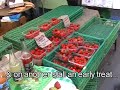 Islington Farmers Market
