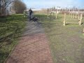 Coffey ve výběhu na Lesné - I Coffey ve výběhu na Lesné - I
