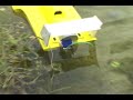 Miss Vegas brushless electric conversion