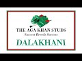 Dalakhani - thoroughbredtv
