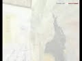 fOrest Revenge - Counter Strike movie