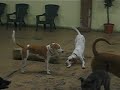 Daisy and Jackson sittin\