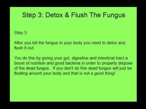 how to eliminate fungus from your body