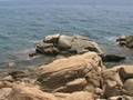 videos de Cala Pira
