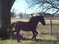 100_2981.MOV