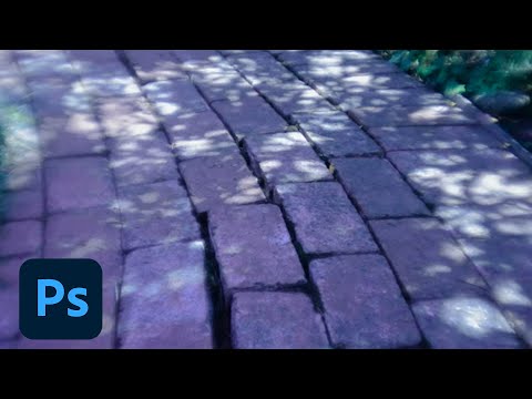 how to adjust lighting in photoshop