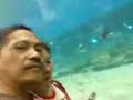 ELA @ MANILA OCEAN PARK