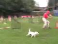 Aarschot 2008 FiaskoJumping FhoenixEstafette