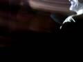 videos de Noche Bizzara en Avellaneda