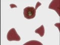 X TV AMV-Dreaming Tree