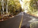 zx6 zx6