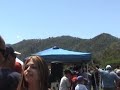 Dia de Chringa Caguas (El Gordo)