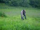 Skunk Hunt