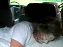 Watch as the van man gets a rude awakening in a van out in the country. Enjoy.