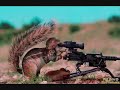 Squirrels of war