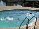 Munchee the Labradoodle Dog goes in the swimming pool Funny