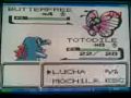 ENCONTRE EN BUTTERFREE ROSA!!!