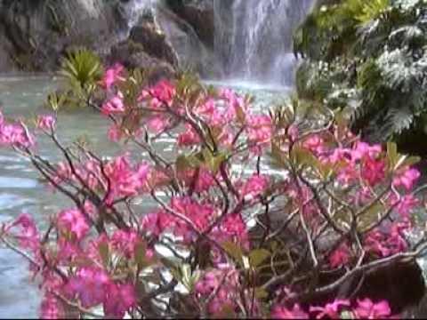 Vacances en Guadeloupe mars 2007