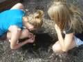 videos de KK's Frog Funeral