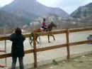 cindy et eclipse premier concours cindy et eclipse premier concours
