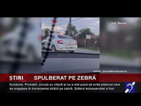 Spulberat pe zebră