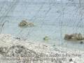 Belle Anse fishers come back to the sea