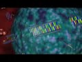 www dnatube com rnai interference video