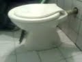 explosion de inodoro - toilet explodes!