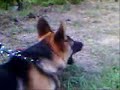 Pistagem - 4� Treino