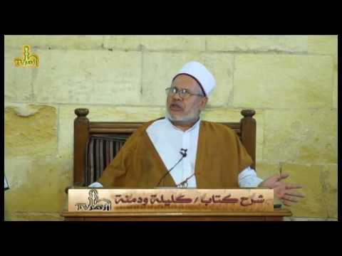 الحلقة 5 من شرح كليلة ودمنة للدكتور على صالح الازهرى | قناة ازهر تى فى