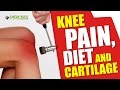 Knee Pain, Diet and Cartilage