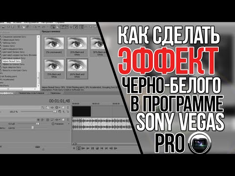 вегас про сделать видео черно белым вегас про сделать видео черно белым