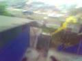 videos de las foquitas de iquique