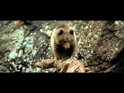 See video