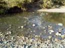 The creek I crossed The creek I crossed