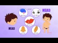 Learn about your Human Body Parts - 03 HEAD (Tamil)