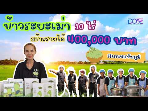 เกษตรก้าวหน้า 9 Young Smart Farmer ชัยภูมิ ผลิตข้าวระยะเม่า 10 ไร่ สร้างรายได้กว่า 4 แสนบาทต่อปี