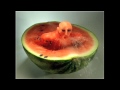 Food Art