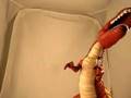 Fisher Price Imaginext T-Rex