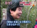 稲城