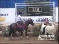 2005 NCHA Open World Champion Bobs Hickory Rio 2005 NCHA Open World Champion Bobs Hickory Rio