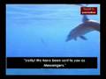 Exquisite recitation Holly Quran of Saad Ghamdi