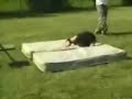 Backyard Wrestling Backflip (goes wrong) Backyard Wrestling Backflip (goes wrong)