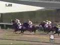 2008年3月9日 中山4R 障害オープン コスモラバンジン