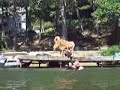 Stevie Anderson Modified Faceplant
