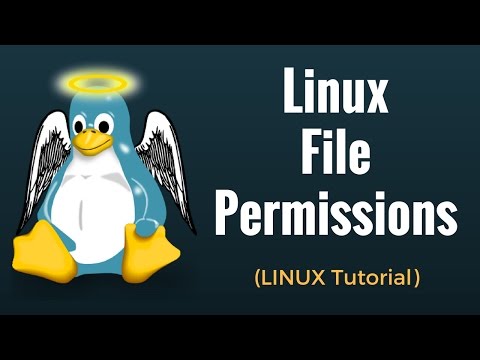 how to provide permission to file in linux